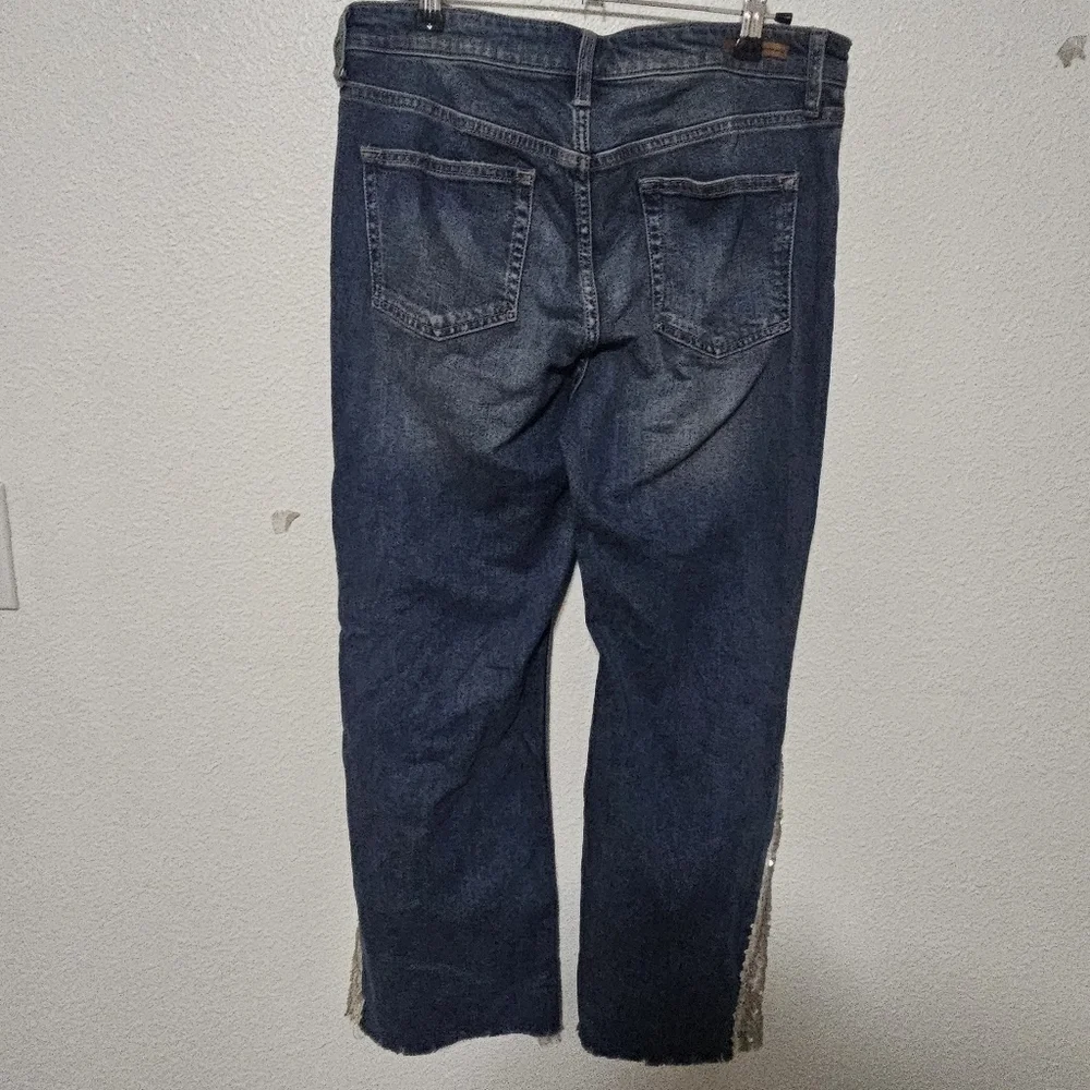 Anthropologie Pilcro and Letterpress flare sequence jeans size 29P